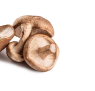 Shiitake FOR IMMUNITY