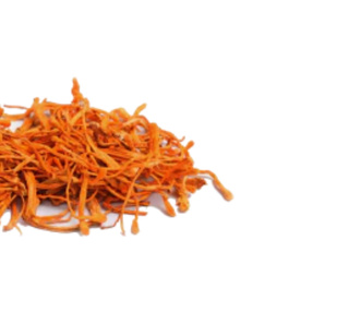 Cordyceps FOR STAMINA